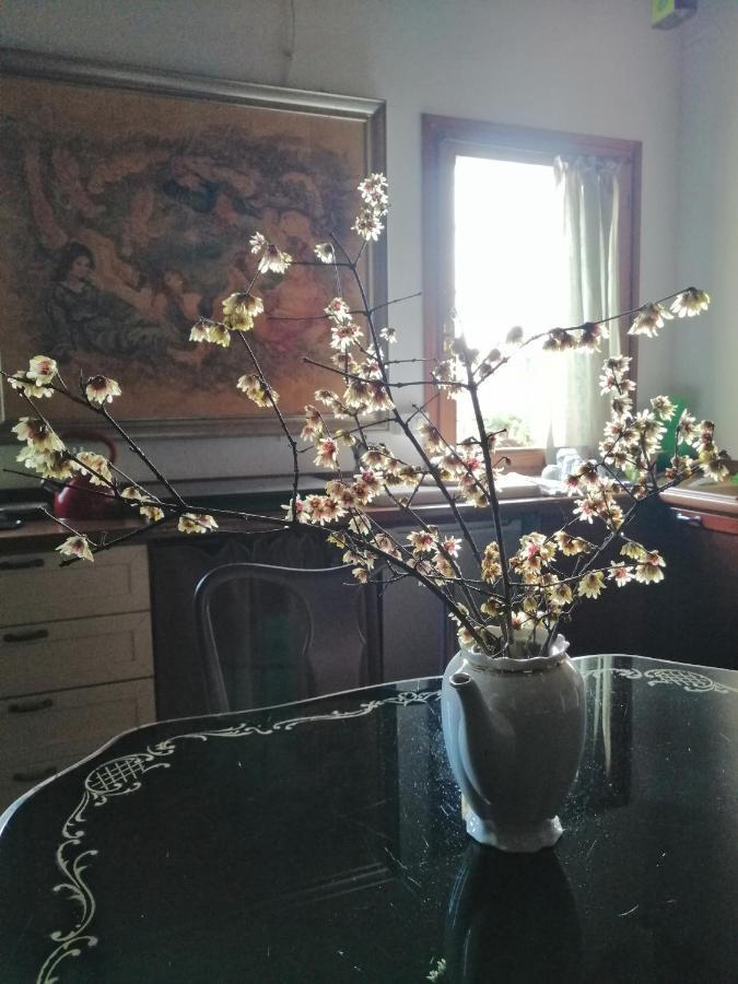 Corte Di Maggio B&B Country House Imola Extérieur photo