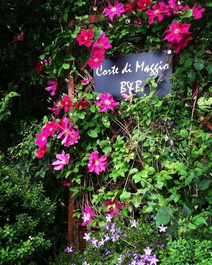 Corte Di Maggio B&B Country House Imola Extérieur photo