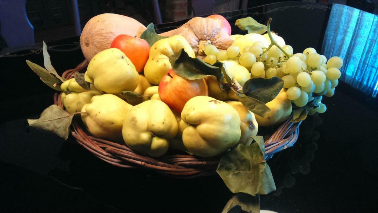 Corte Di Maggio B&B Country House Imola Extérieur photo